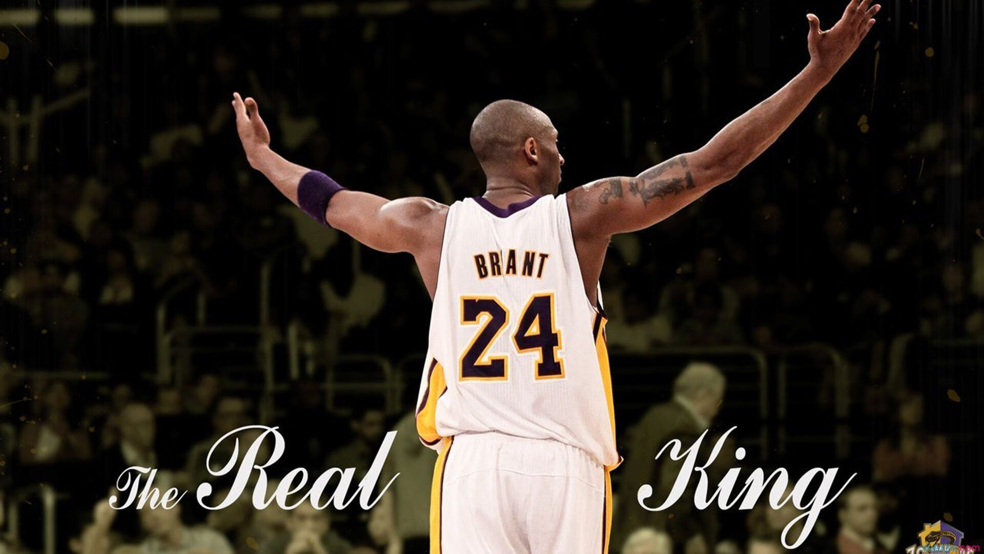 球迷见面会现场热情高涨加强俱乐部与粉丝联系，足球球迷见面会英文作文